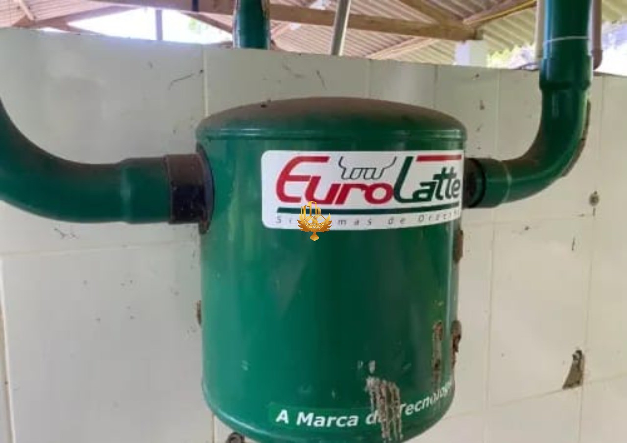 Fazenda, 10 hectares - Foto 10