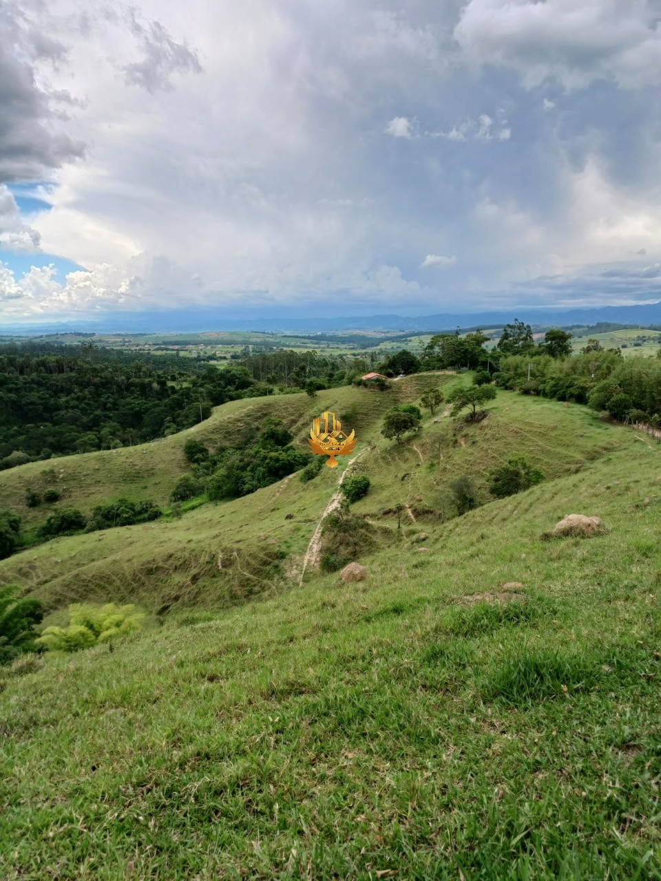 Fazenda, 48 hectares - Foto 11