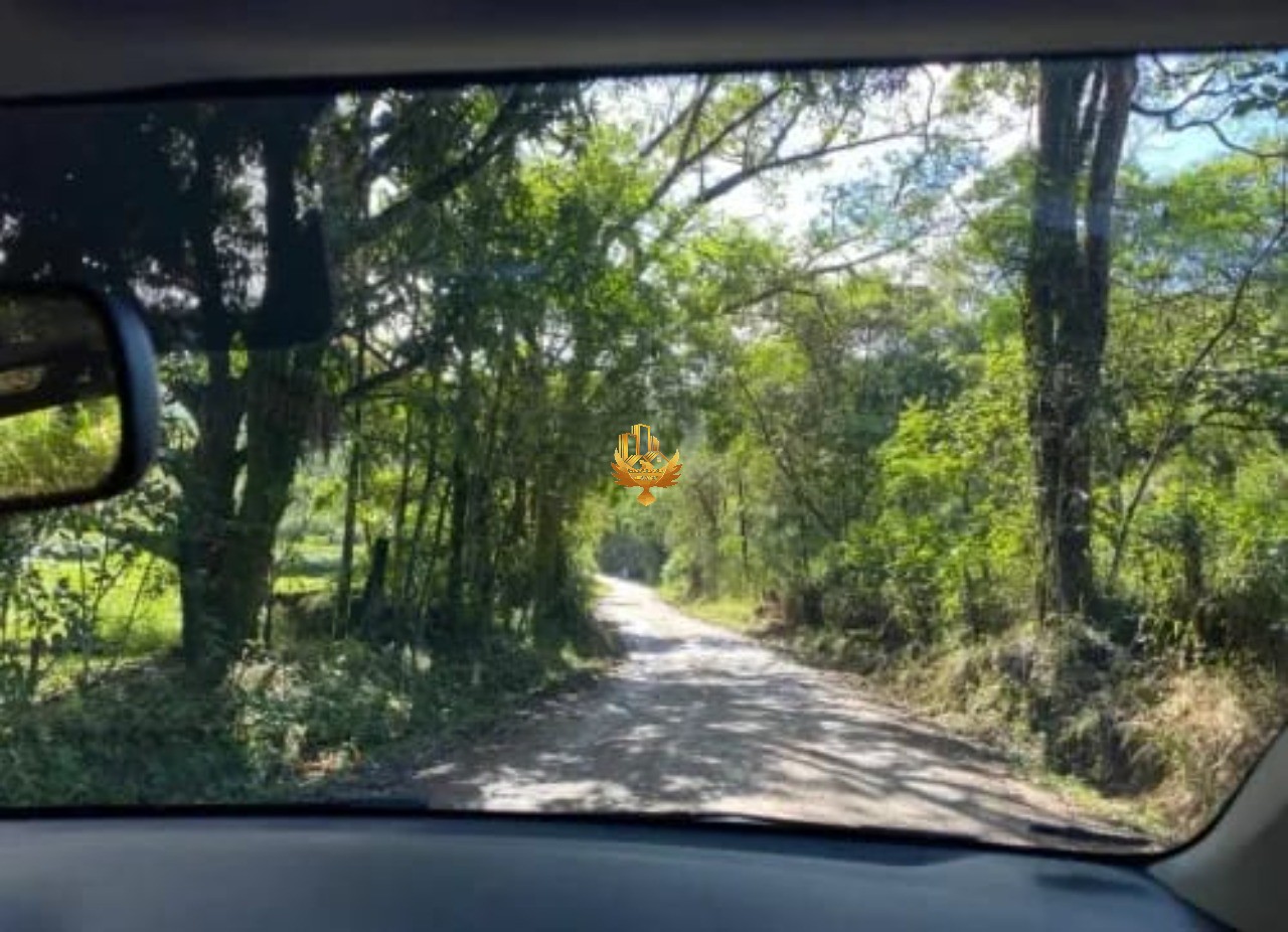 Fazenda, 10 hectares - Foto 18