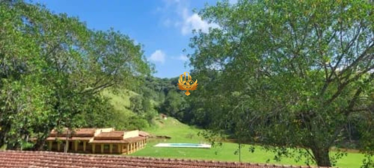 Sítio, 30 hectares - Foto 3