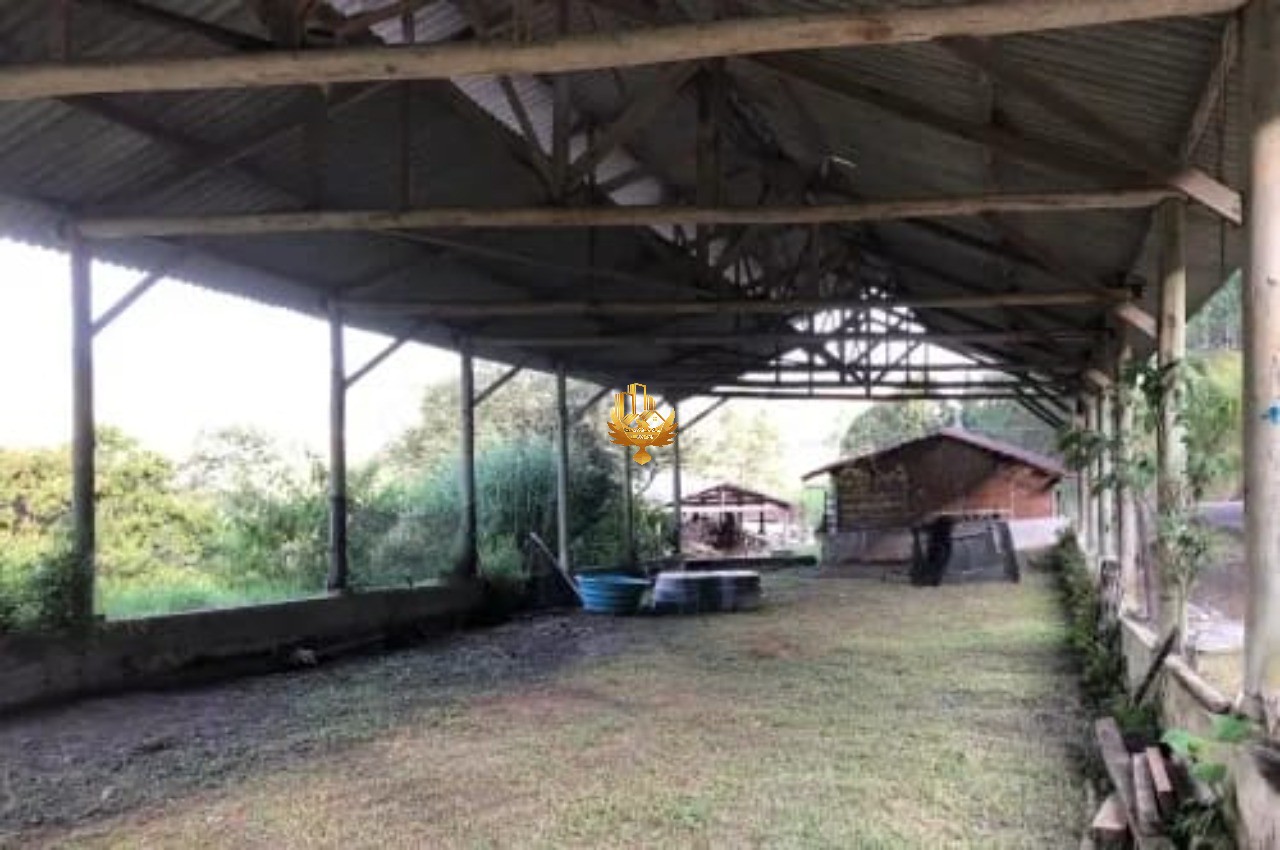 Fazenda, 10 hectares - Foto 11