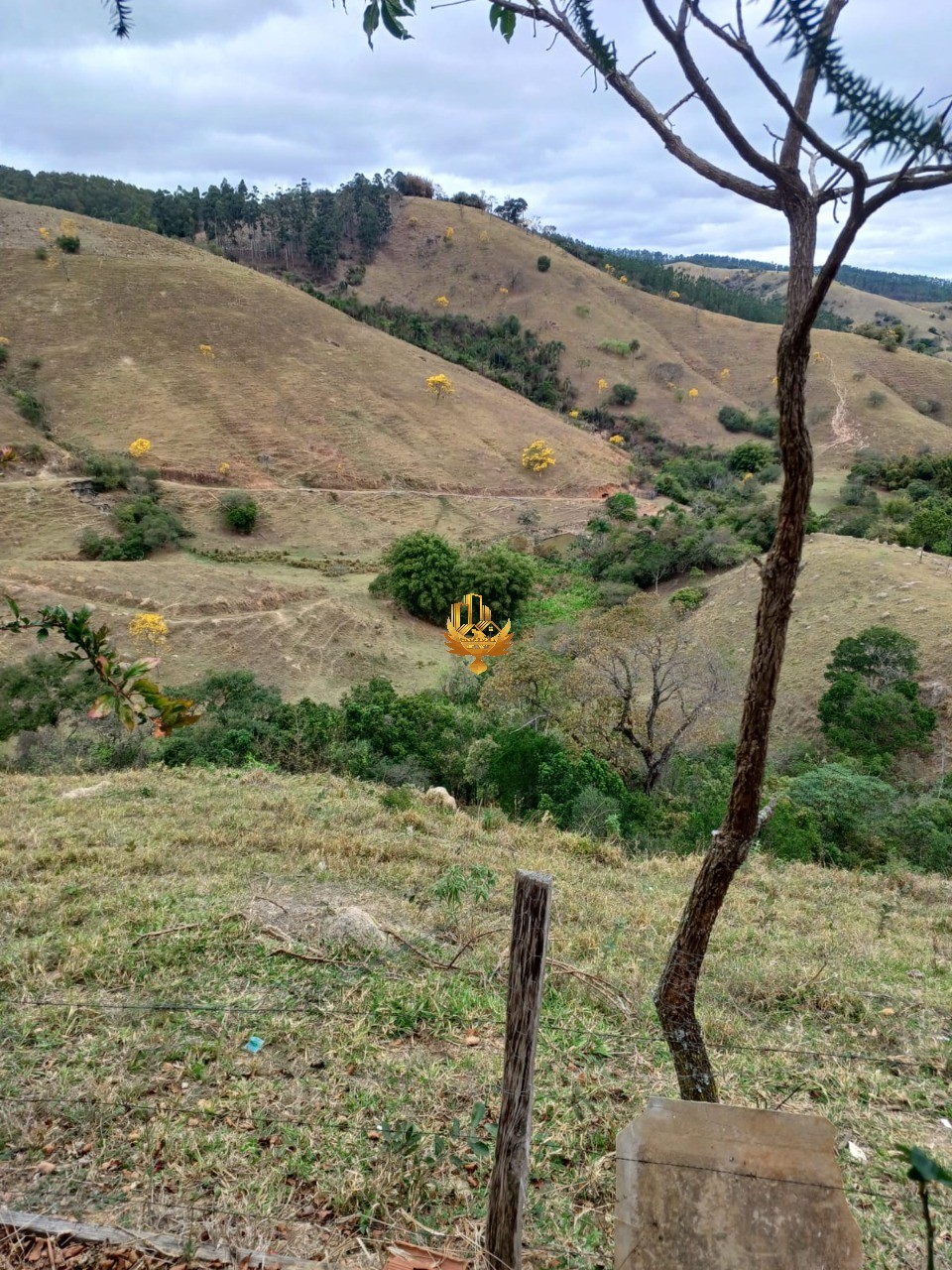 Fazenda, 48 hectares - Foto 13