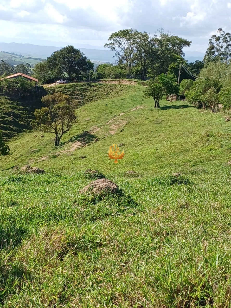 Fazenda, 48 hectares - Foto 14