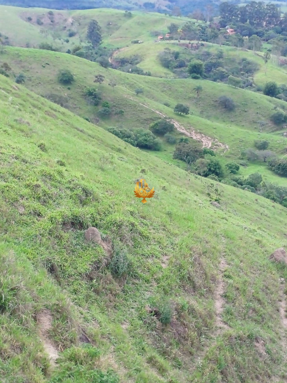 Fazenda, 48 hectares - Foto 8