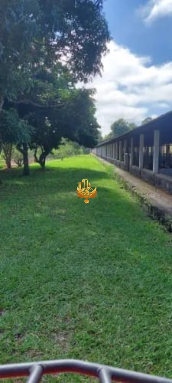 Sítio, 30 hectares - Foto 12