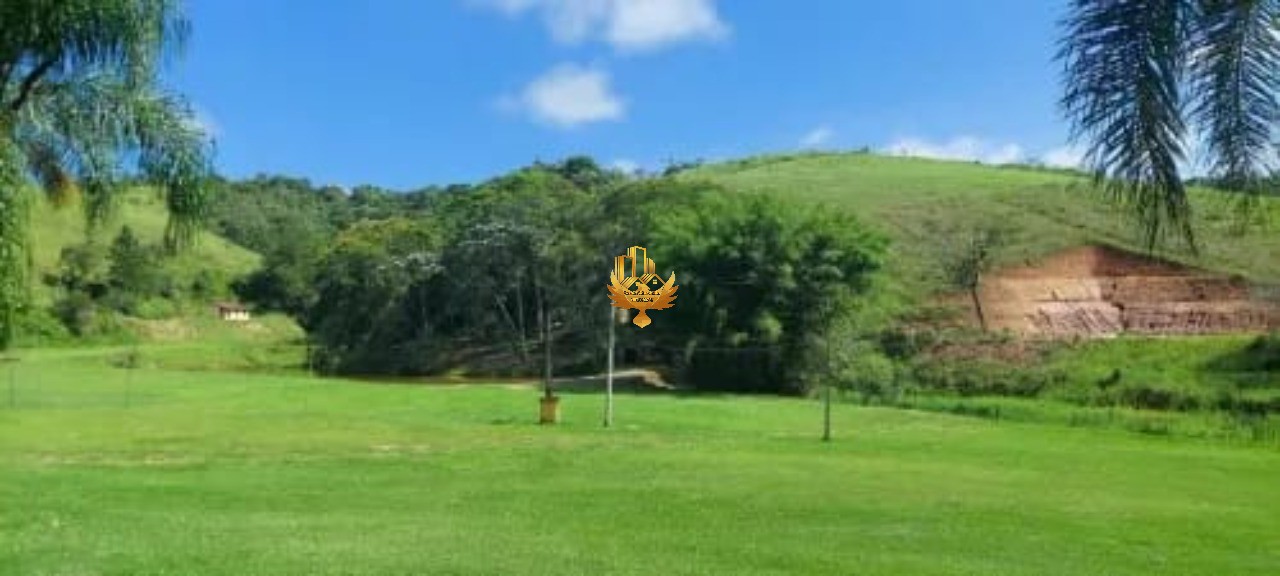 Sítio, 30 hectares - Foto 9