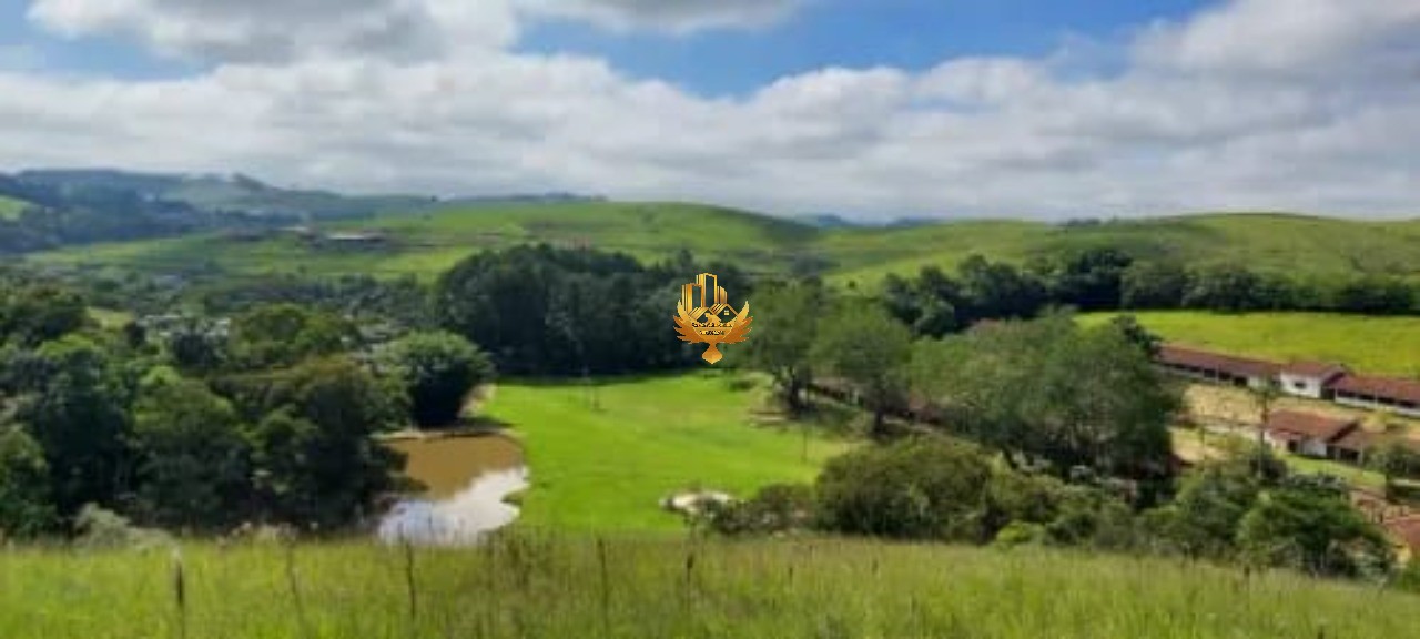 Sítio, 30 hectares - Foto 14