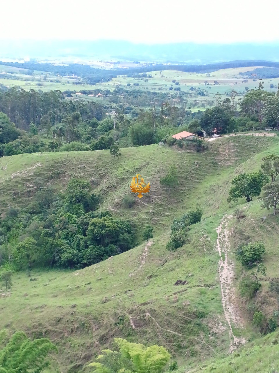 Fazenda, 48 hectares - Foto 7