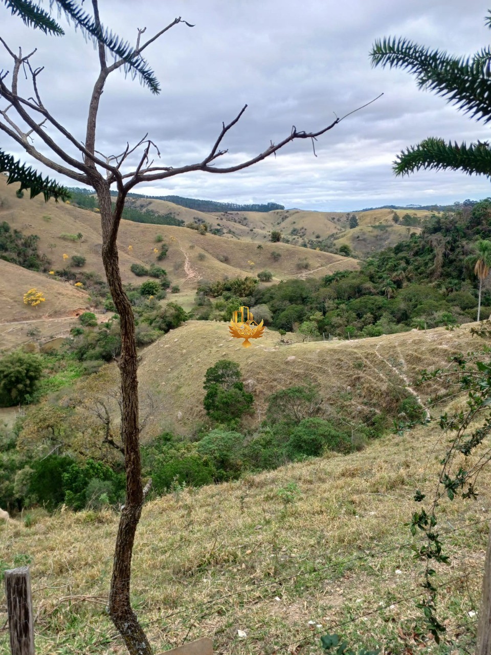 Fazenda, 48 hectares - Foto 2