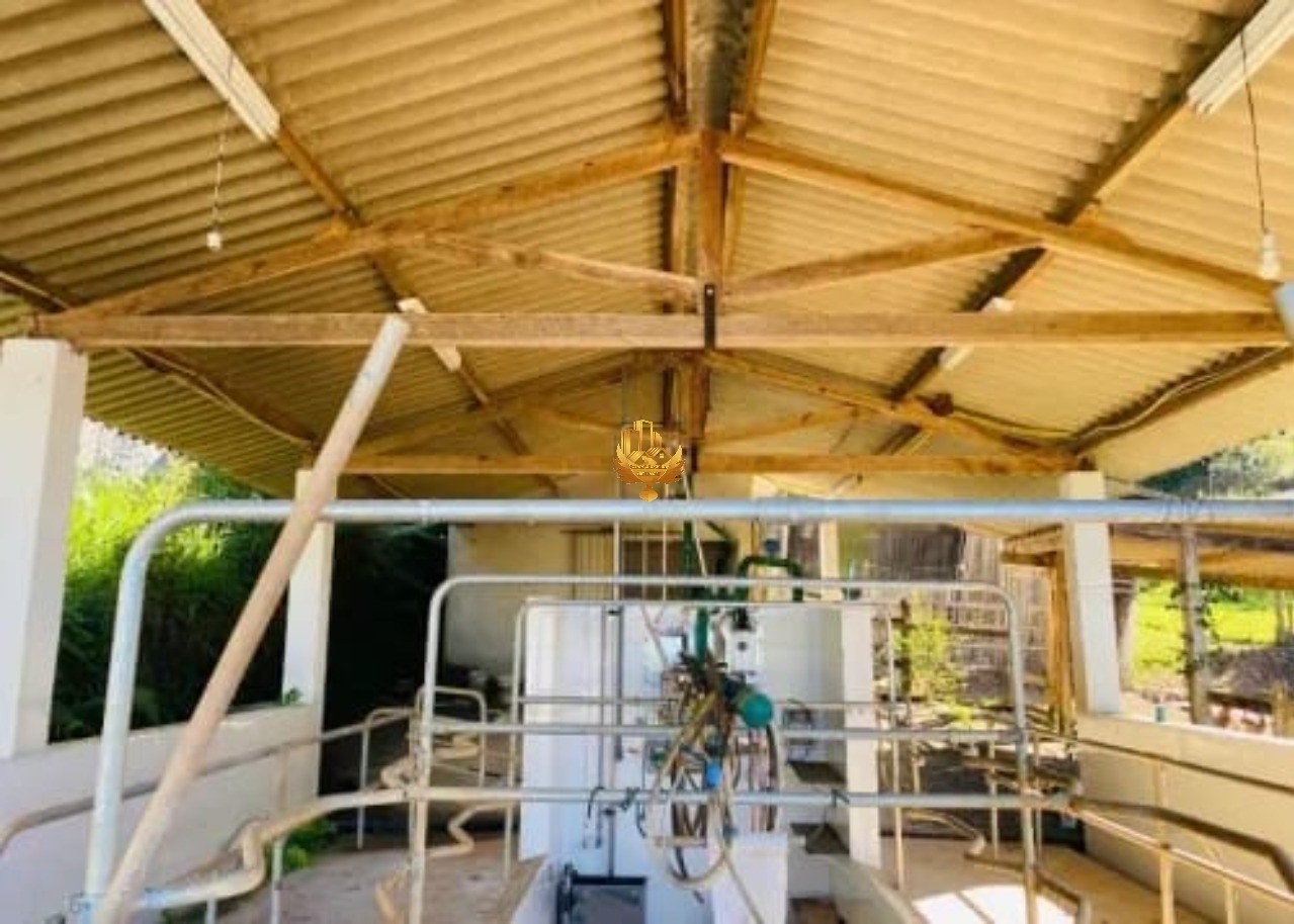 Fazenda, 10 hectares - Foto 9