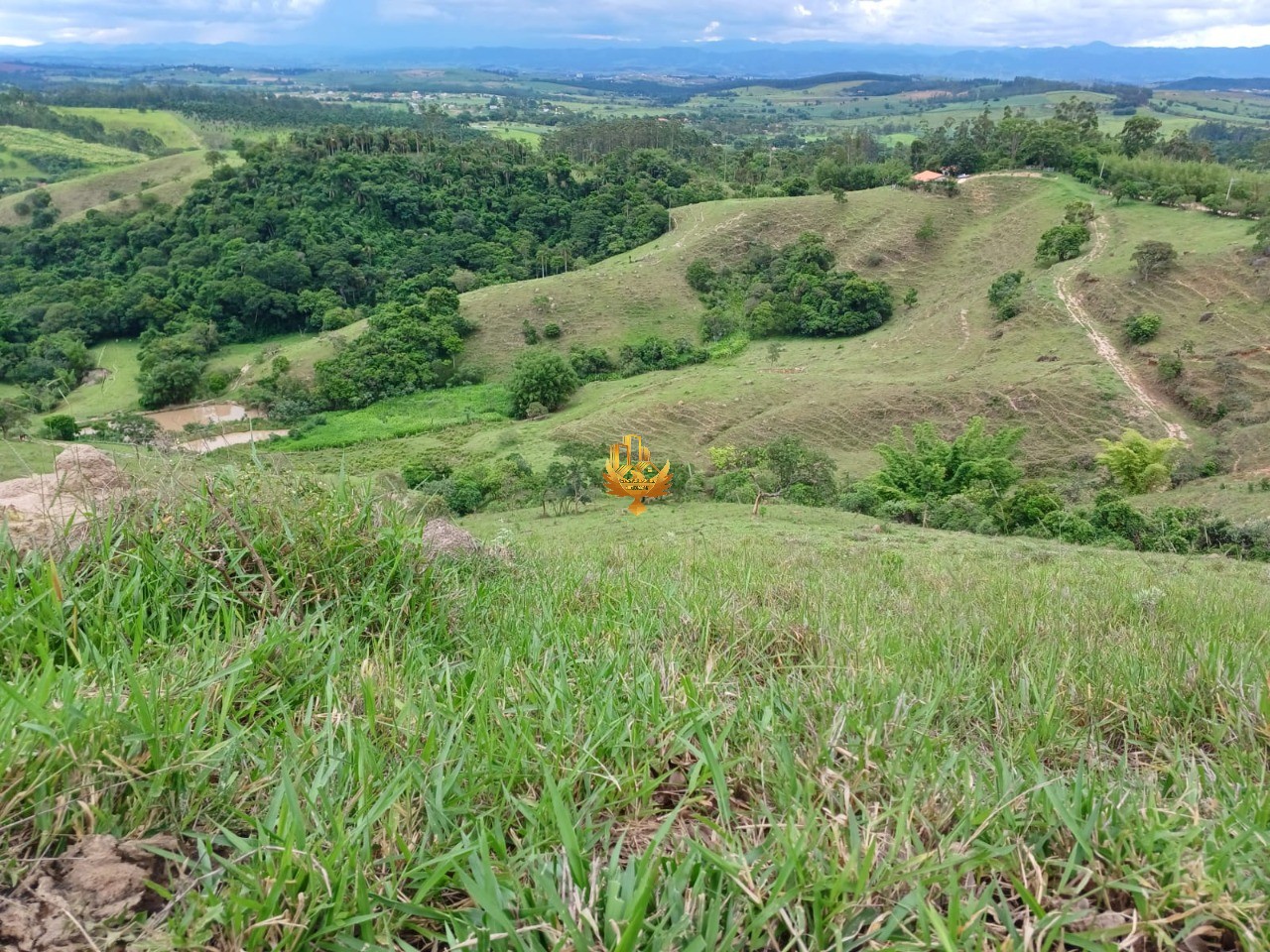 Fazenda, 48 hectares - Foto 1