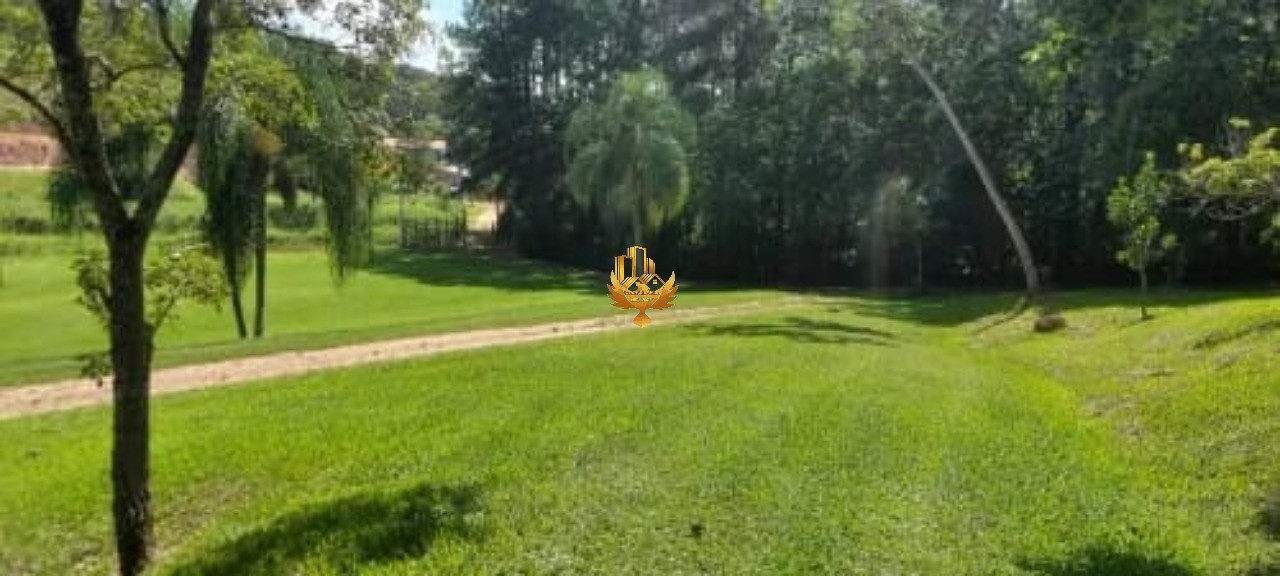 Sítio, 30 hectares - Foto 7