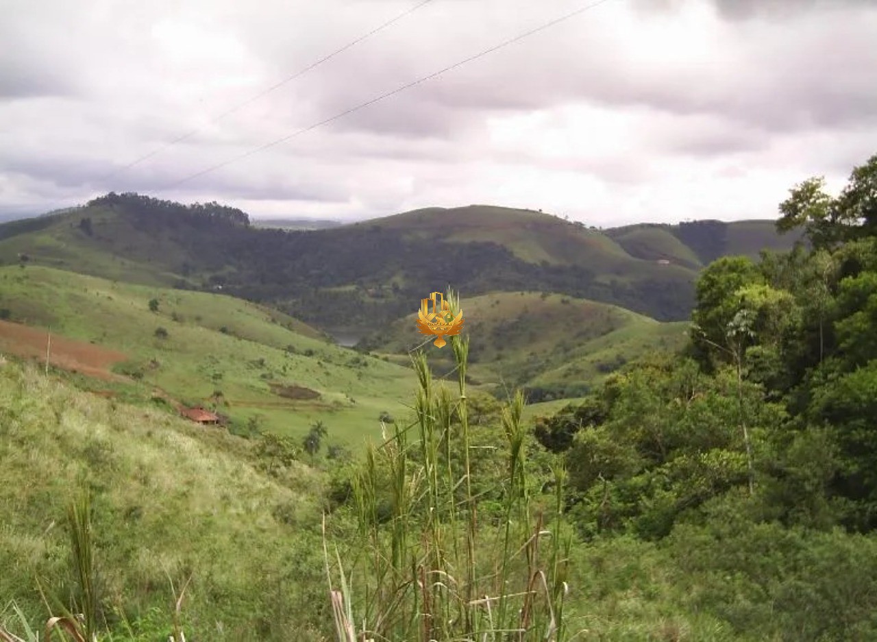 Fazenda, 92 hectares - Foto 3