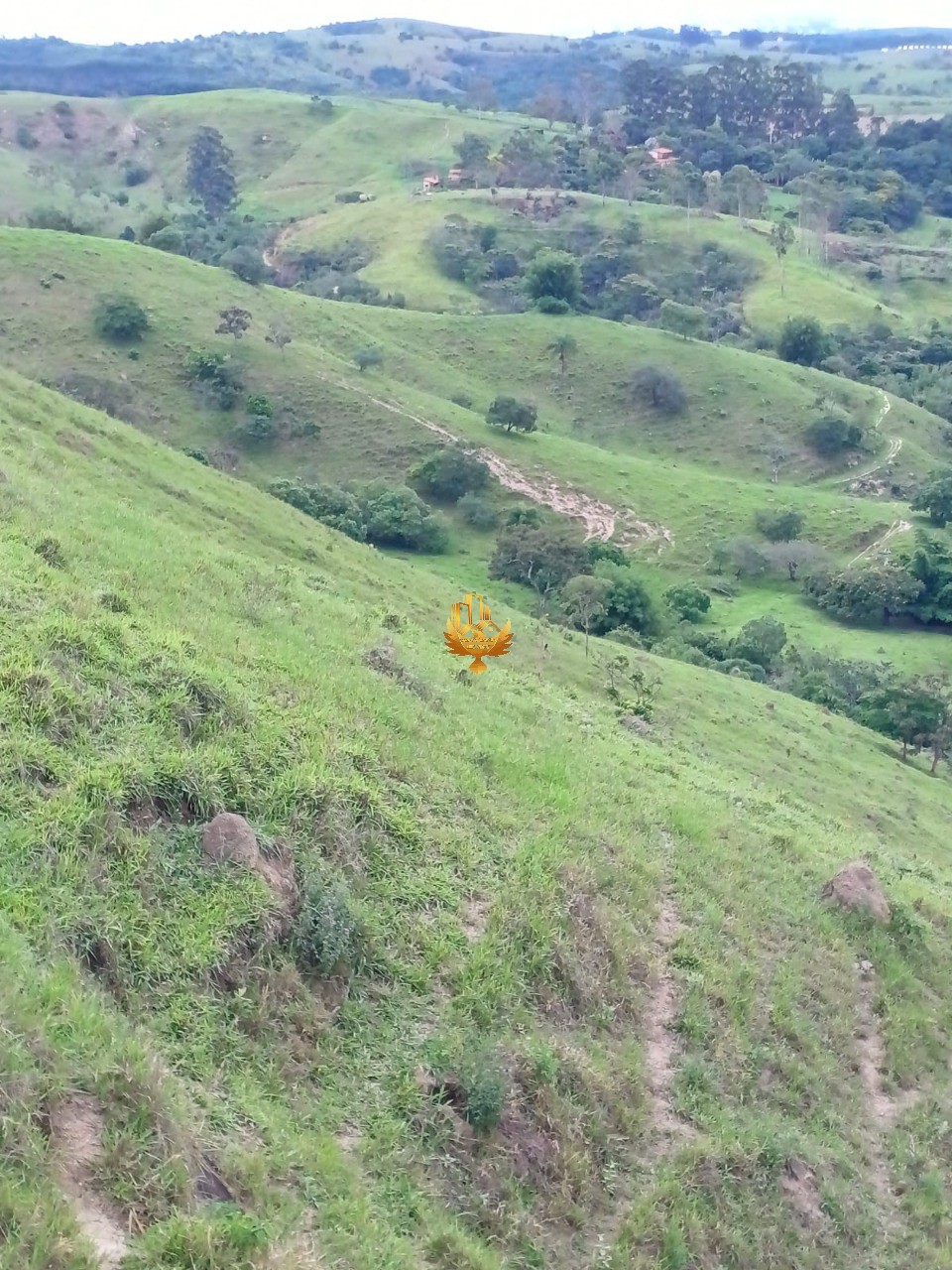 Fazenda, 48 hectares - Foto 10