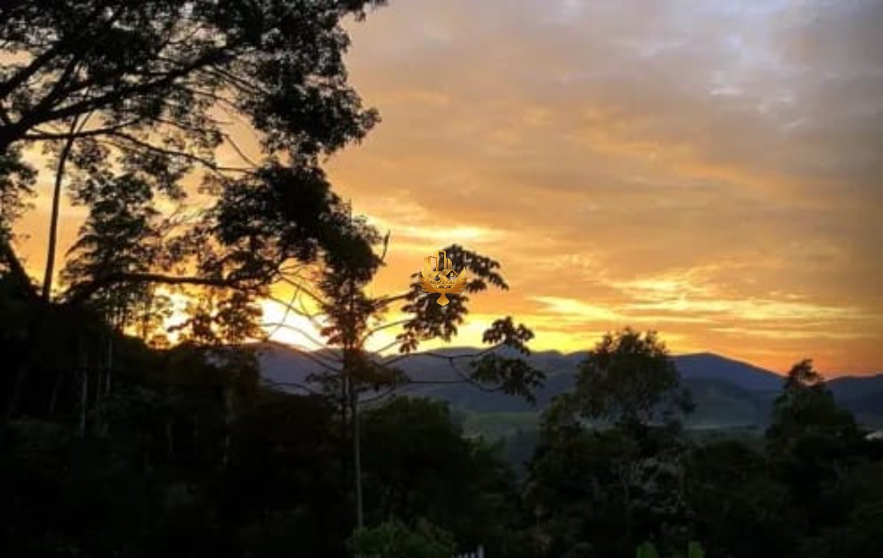 Fazenda-Sítio-Chácara, 10 hectares - Foto 4