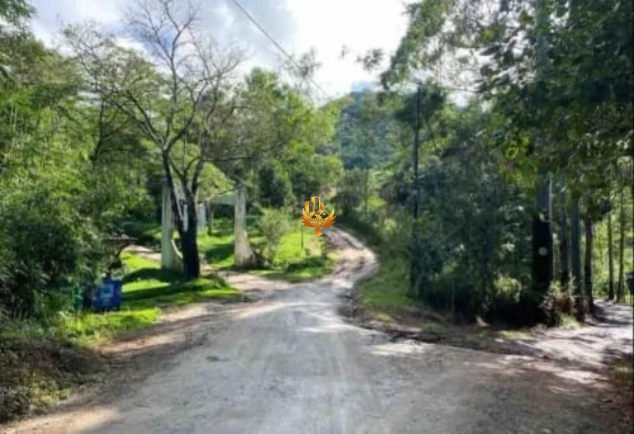 Fazenda-Sítio-Chácara, 10 hectares - Foto 3