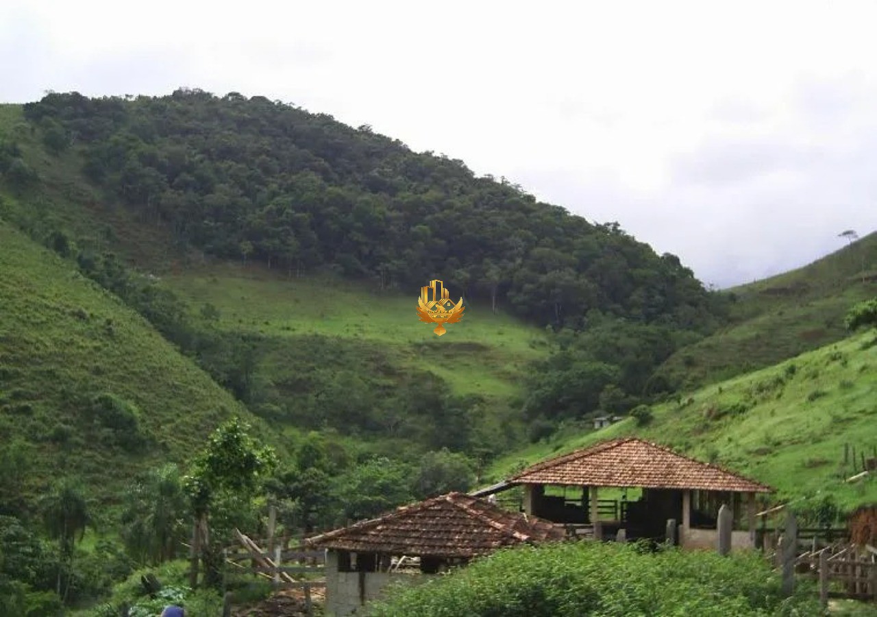 Fazenda, 92 hectares - Foto 5