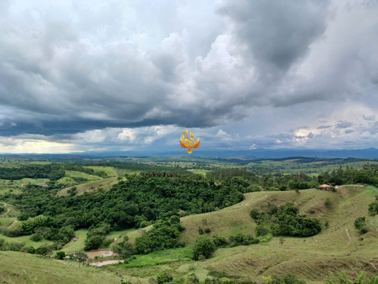 Fazenda, 48 hectares - Foto 3