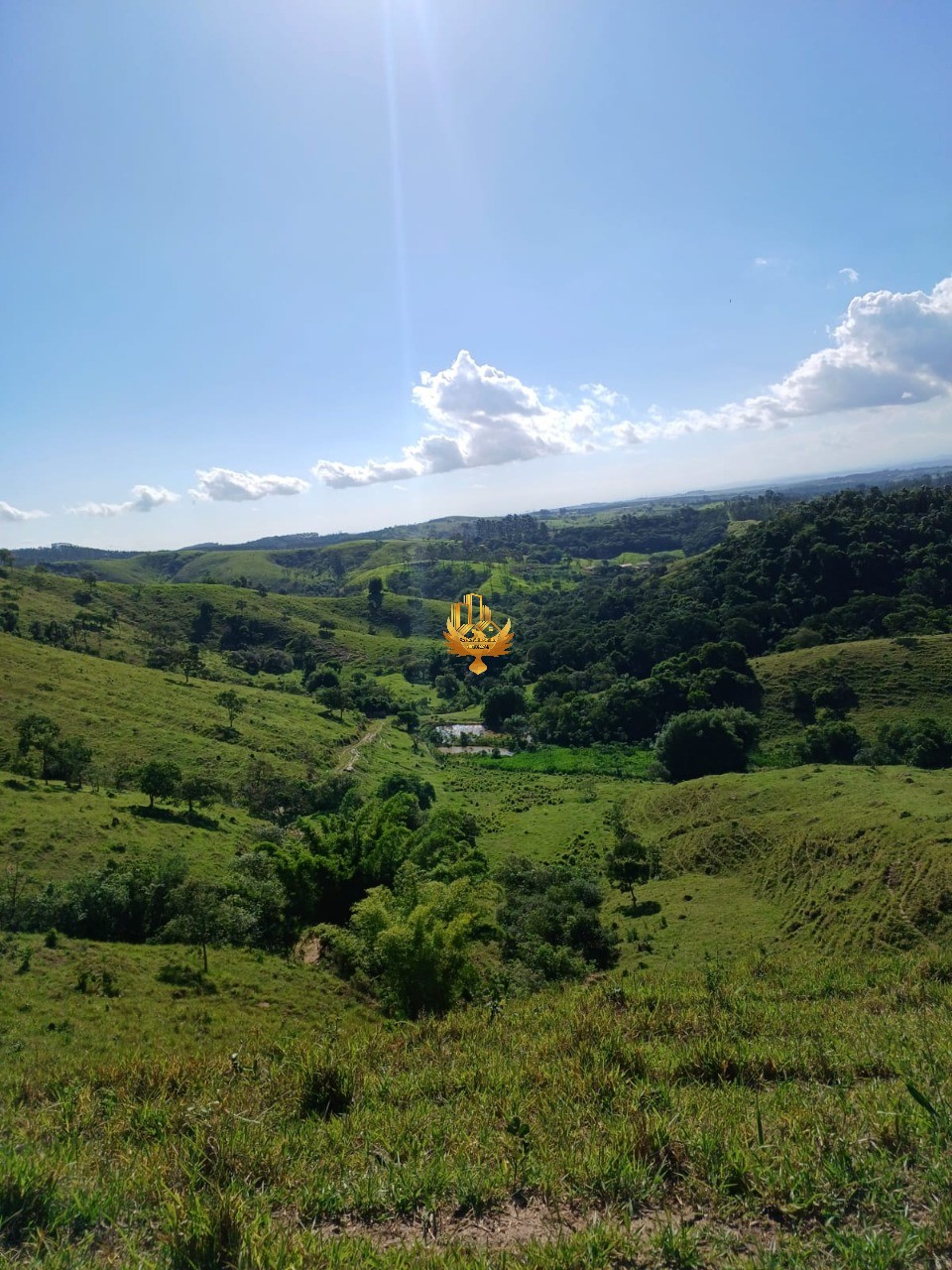 Fazenda, 48 hectares - Foto 12