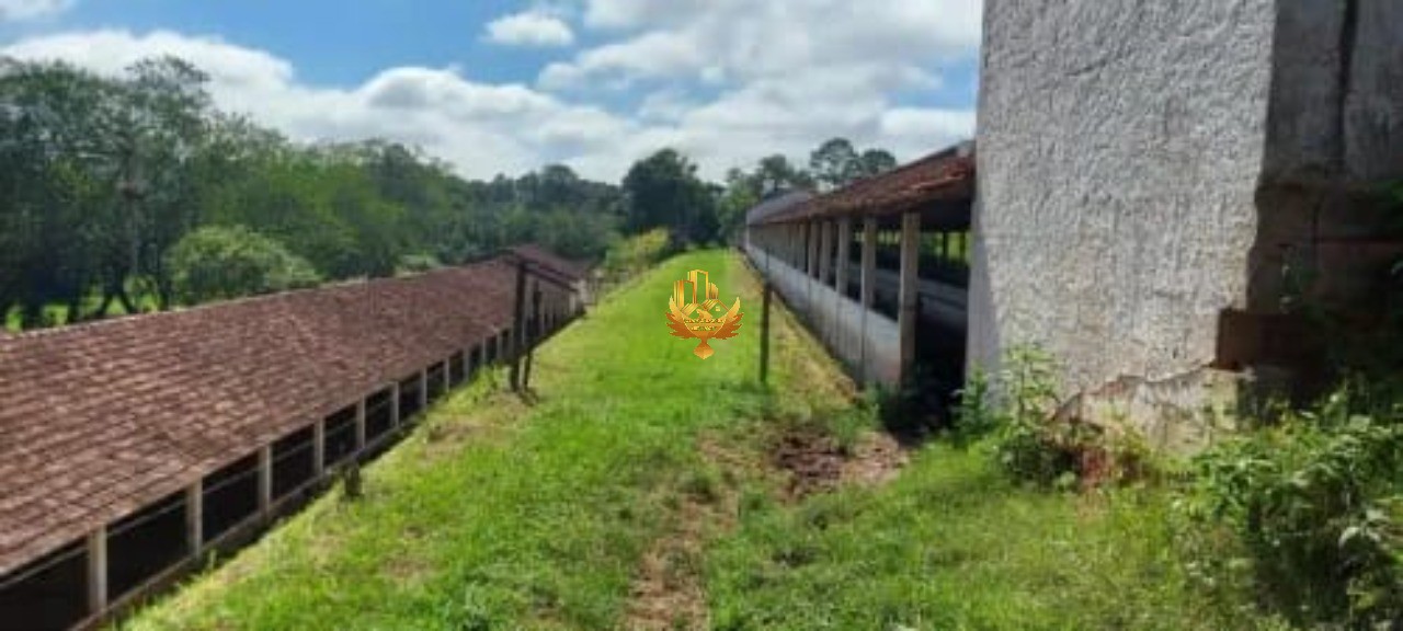 Sítio, 30 hectares - Foto 4