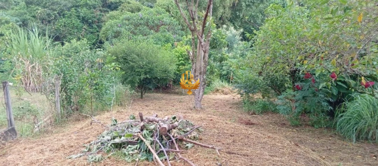 Chácara, 3 quartos - Foto 14