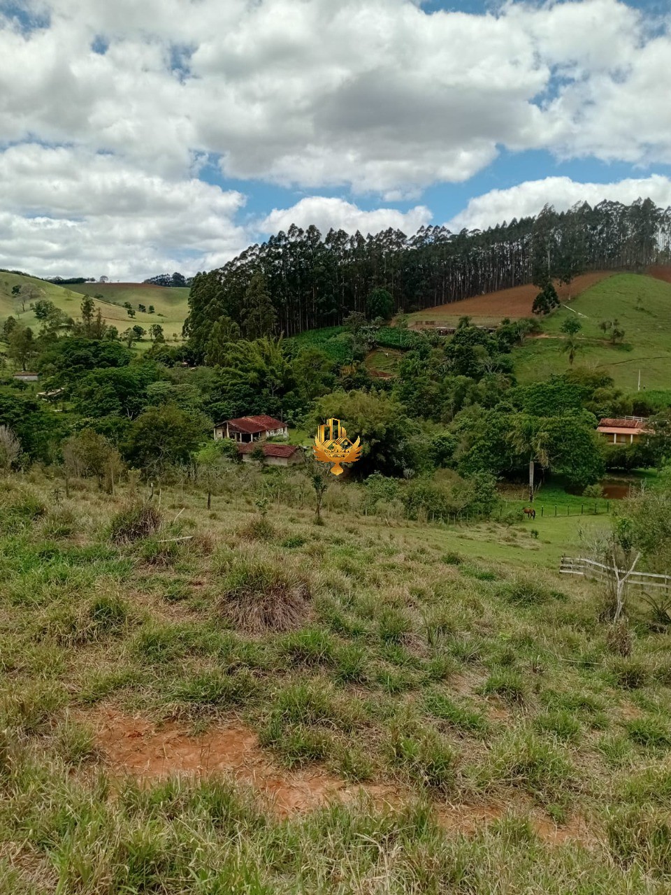 Sítio, 1 quarto - Foto 22