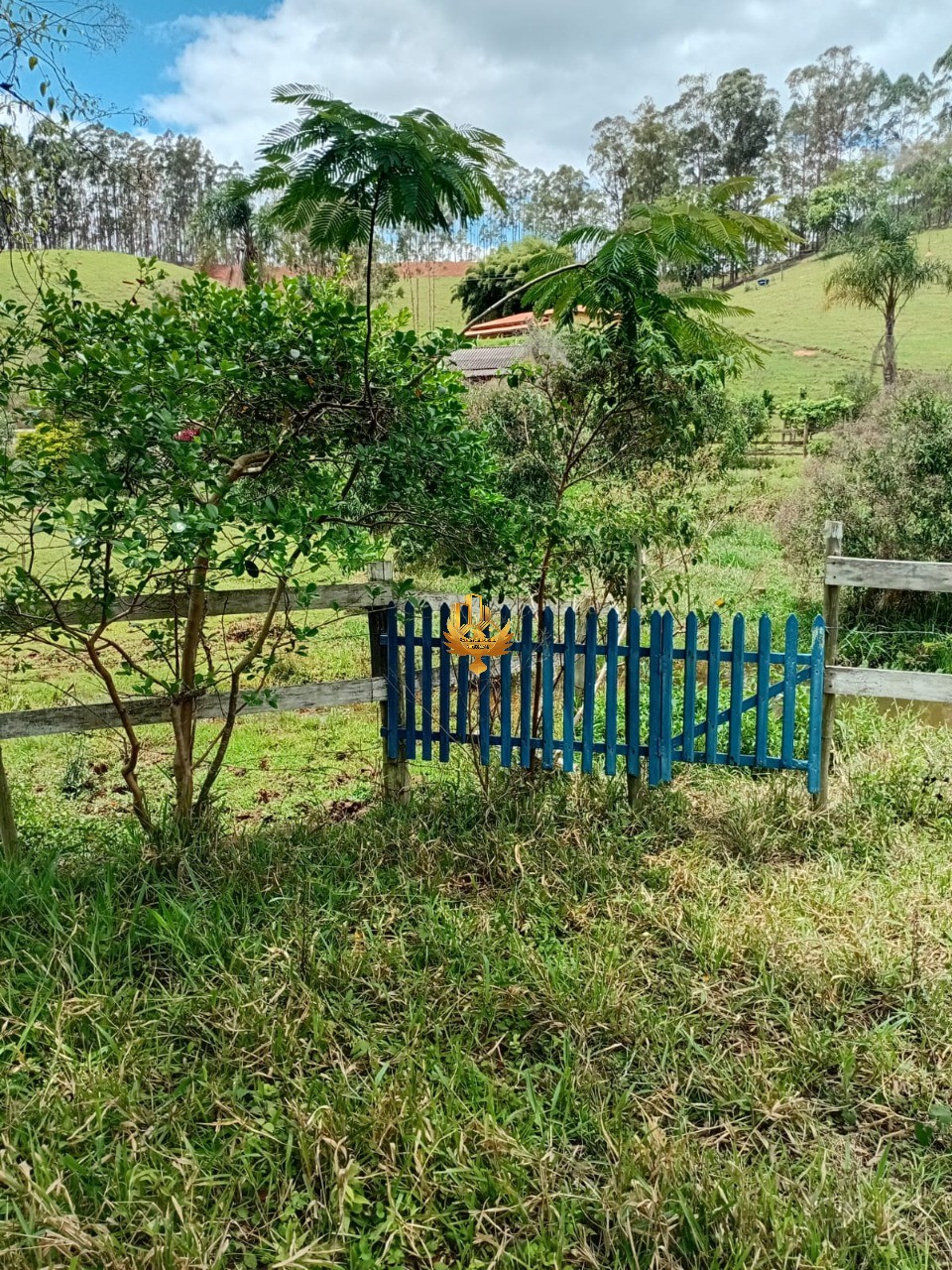 Sítio, 1 quarto - Foto 15