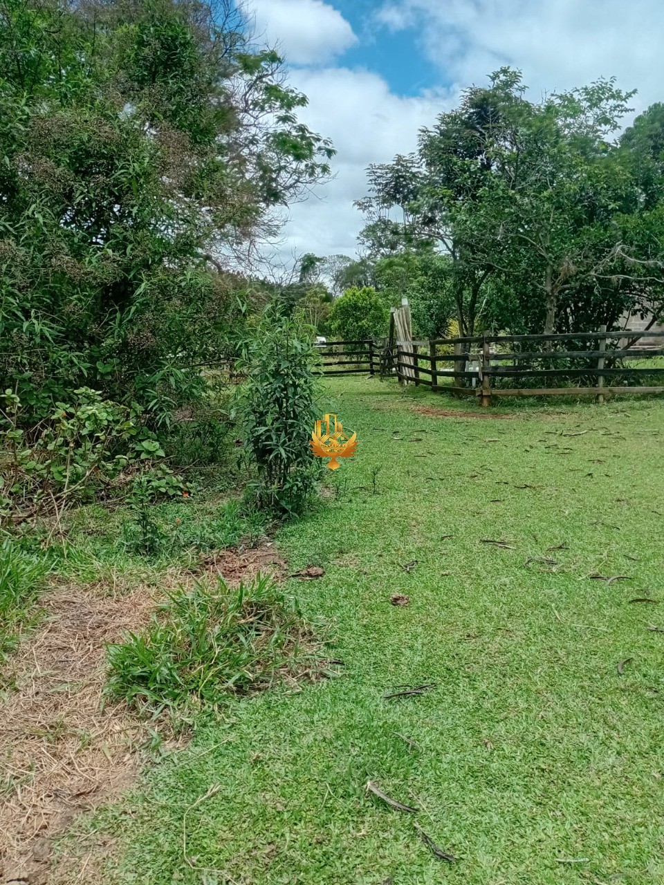 Sítio, 1 quarto - Foto 39