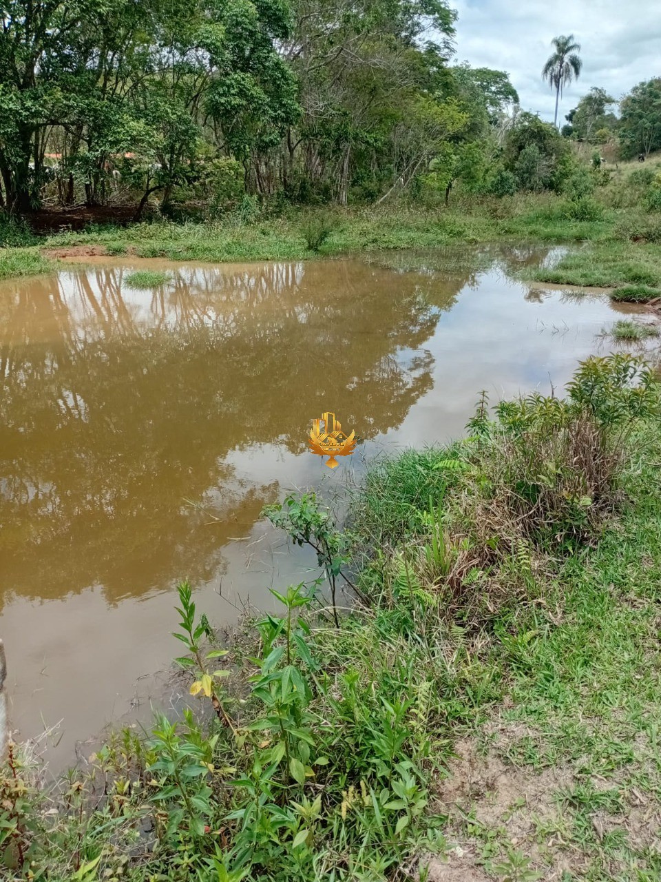 Sítio, 1 quarto - Foto 45