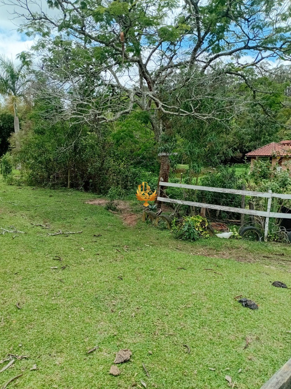 Sítio, 1 quarto - Foto 36