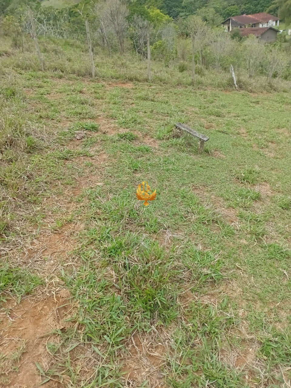 Sítio, 1 quarto - Foto 29