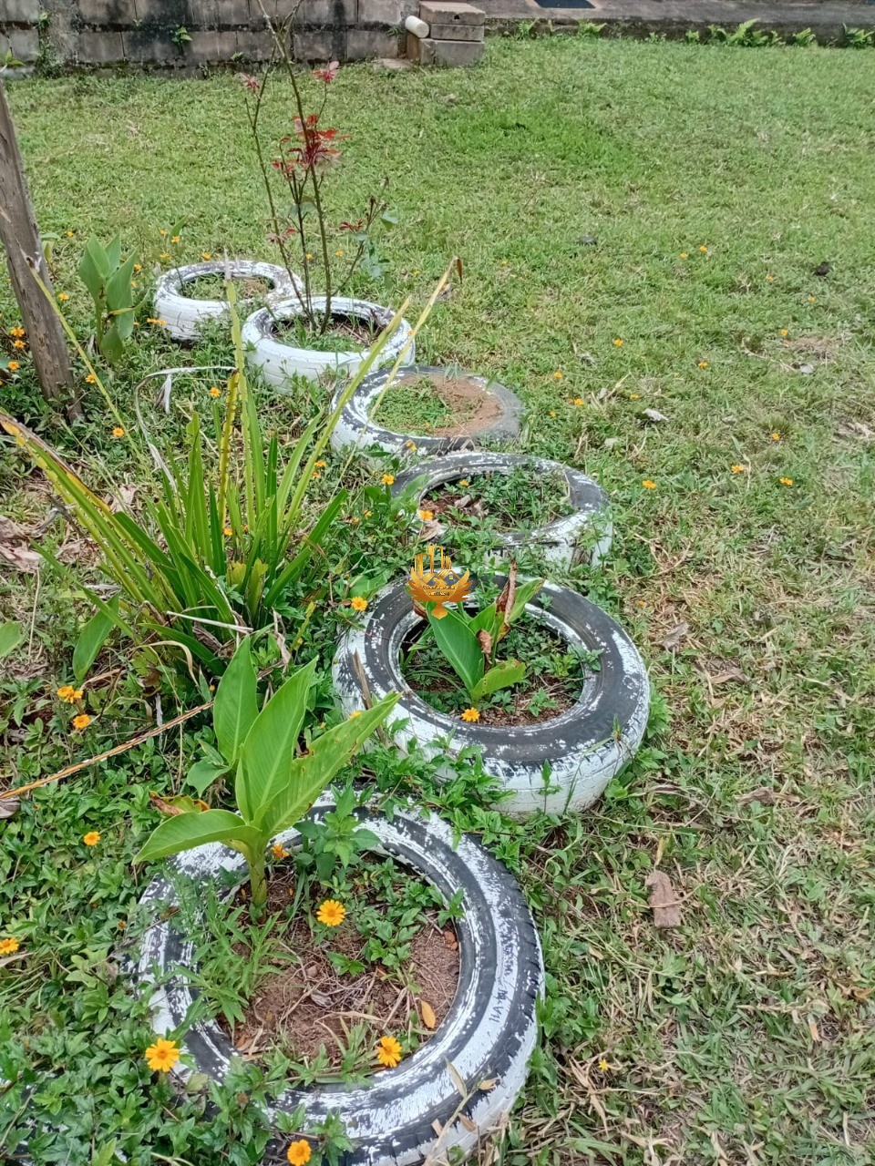 Sítio, 1 quarto - Foto 46