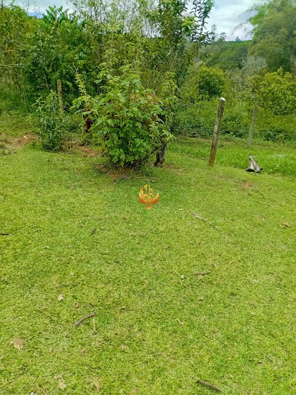 Sítio, 1 quarto - Foto 6