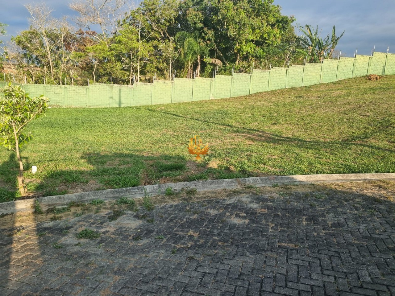 Terreno, 347 m² - Foto 5