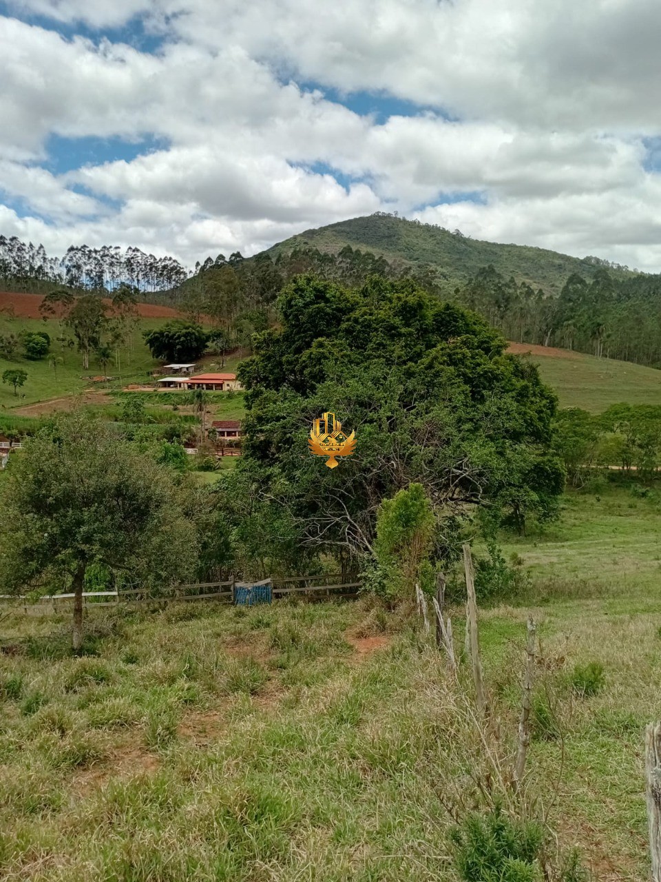 Sítio, 1 quarto - Foto 37