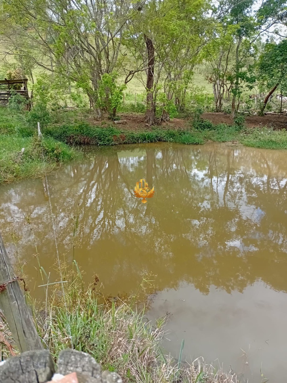 Sítio, 1 quarto - Foto 7