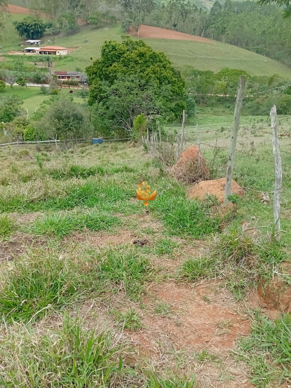 Sítio, 1 quarto - Foto 38