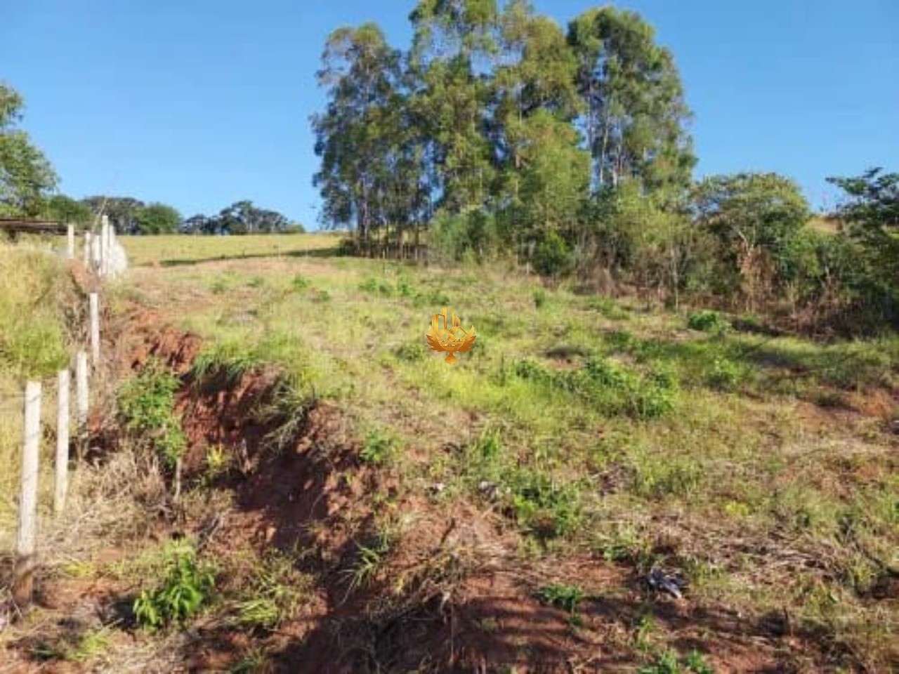 Chácara, 1 quarto, 2500 m² - Foto 2