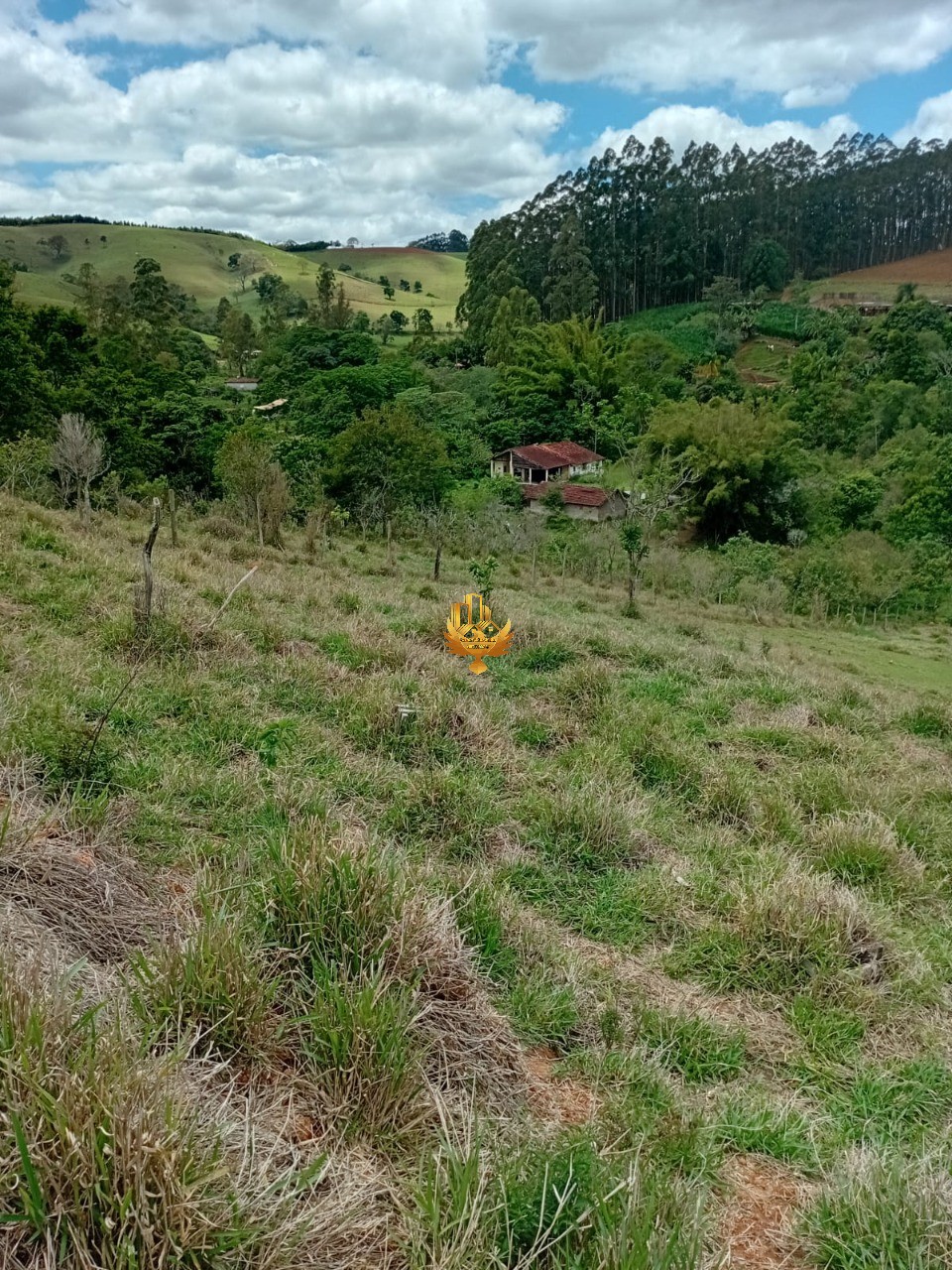 Sítio, 1 quarto - Foto 47