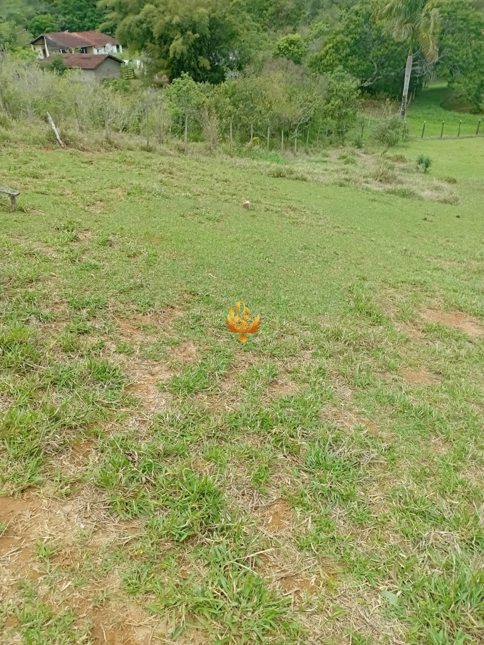 Sítio, 1 quarto - Foto 23