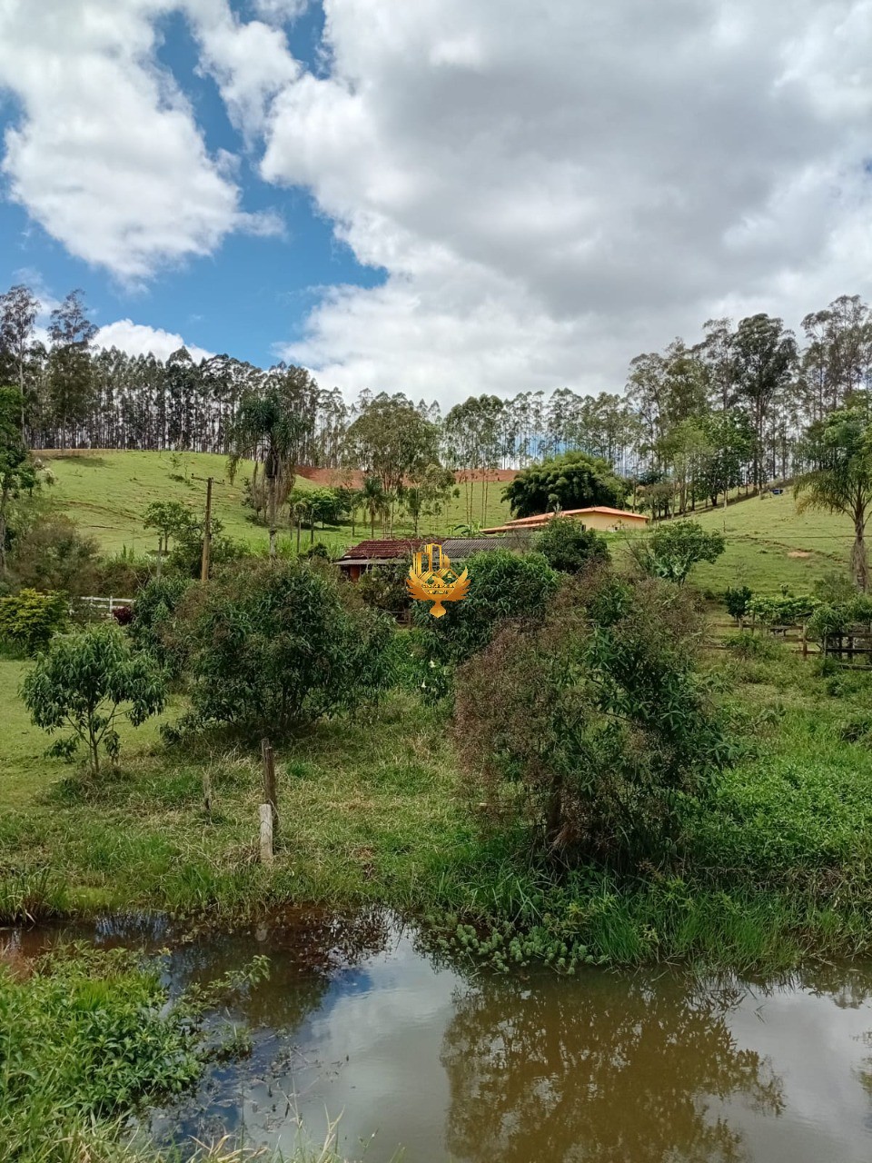 Sítio, 1 quarto - Foto 16