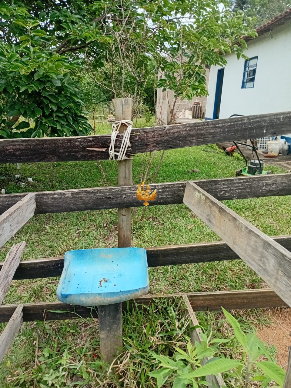 Sítio, 1 quarto - Foto 51