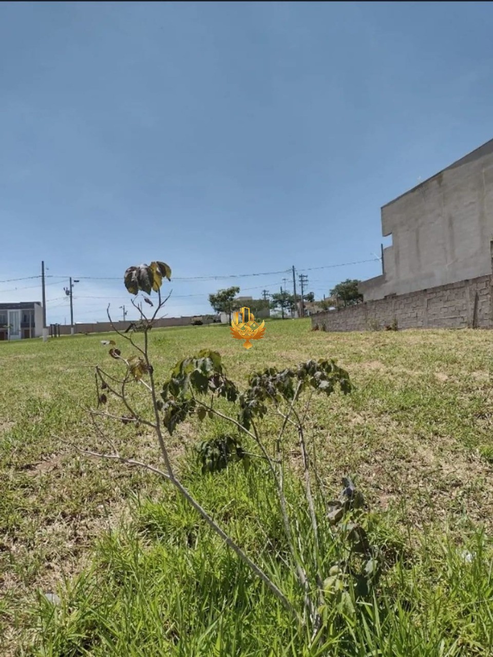 Terreno, 250 m² - Foto 3