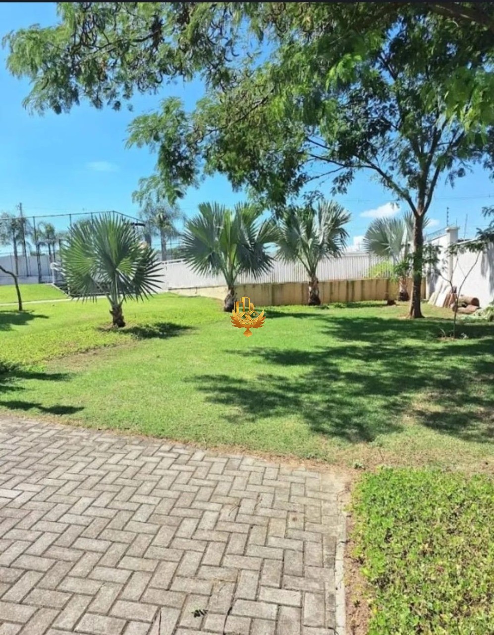 Terreno, 250 m² - Foto 11