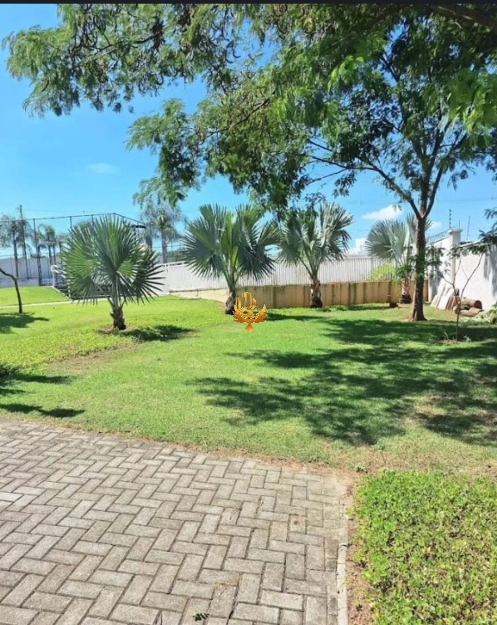 Terreno, 250 m² - Foto 5