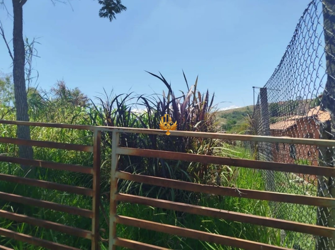 Terreno, 1355 m² - Foto 2