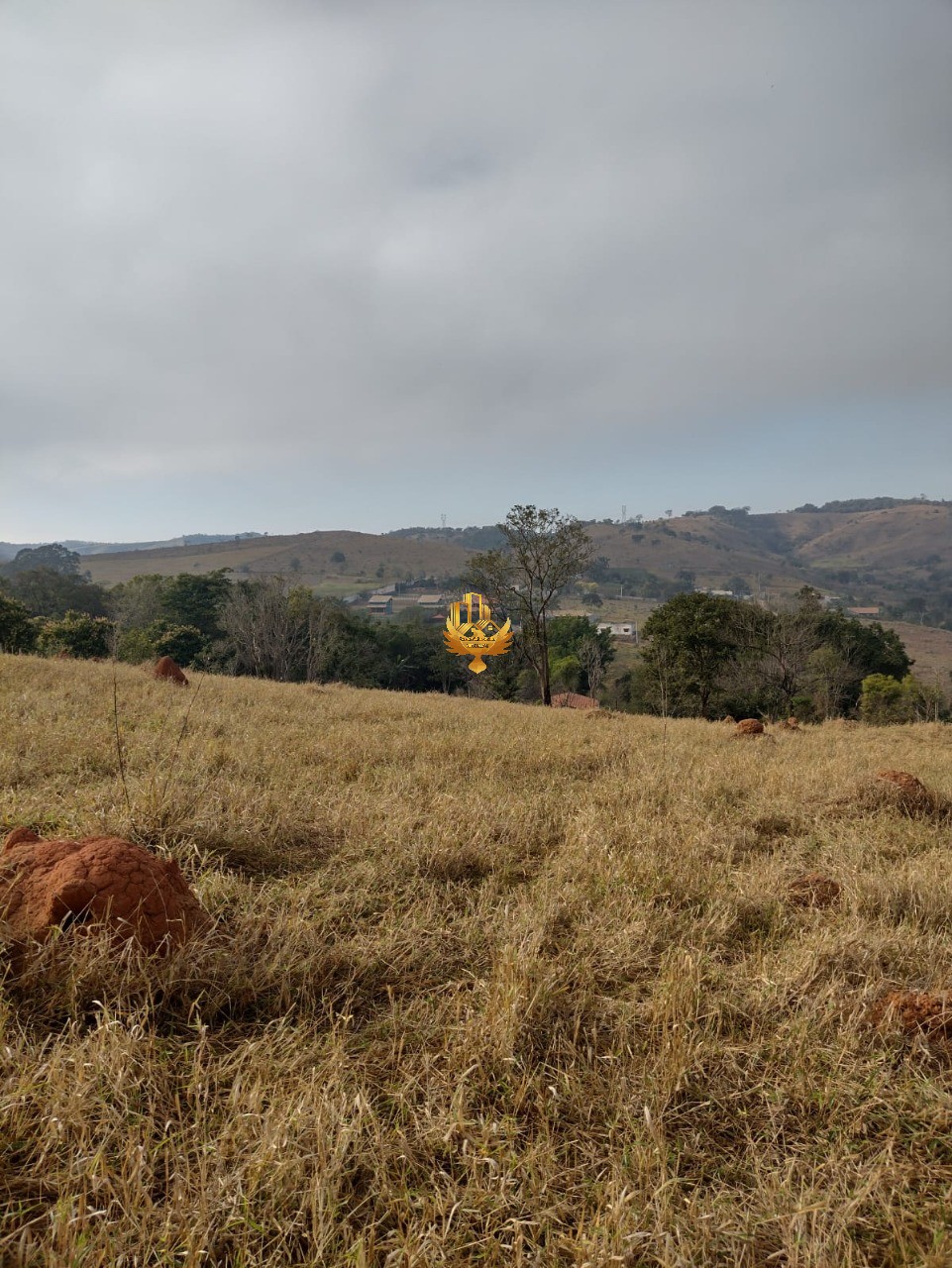 Sítio, 3 quartos - Foto 8