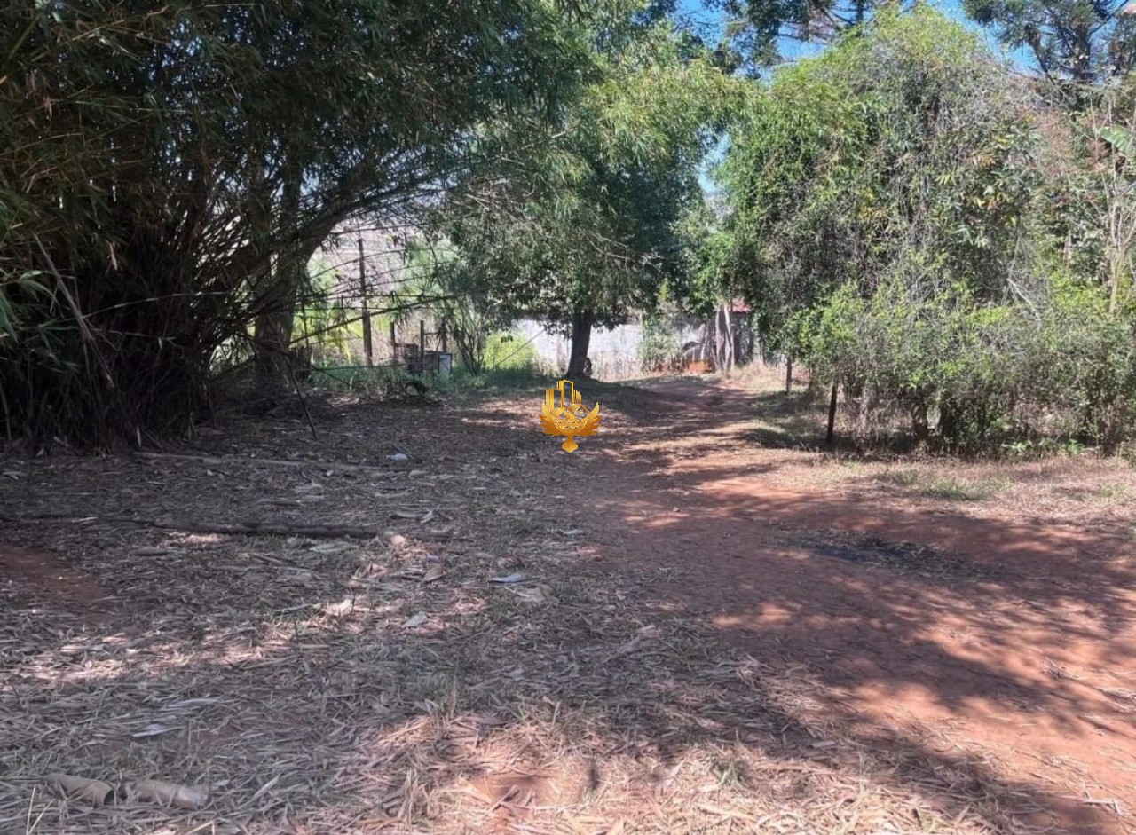 Sítio, 3 quartos - Foto 4