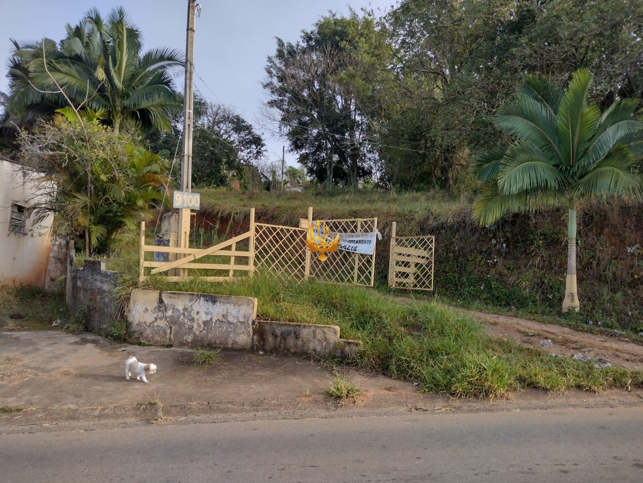 Sítio, 3 quartos - Foto 9