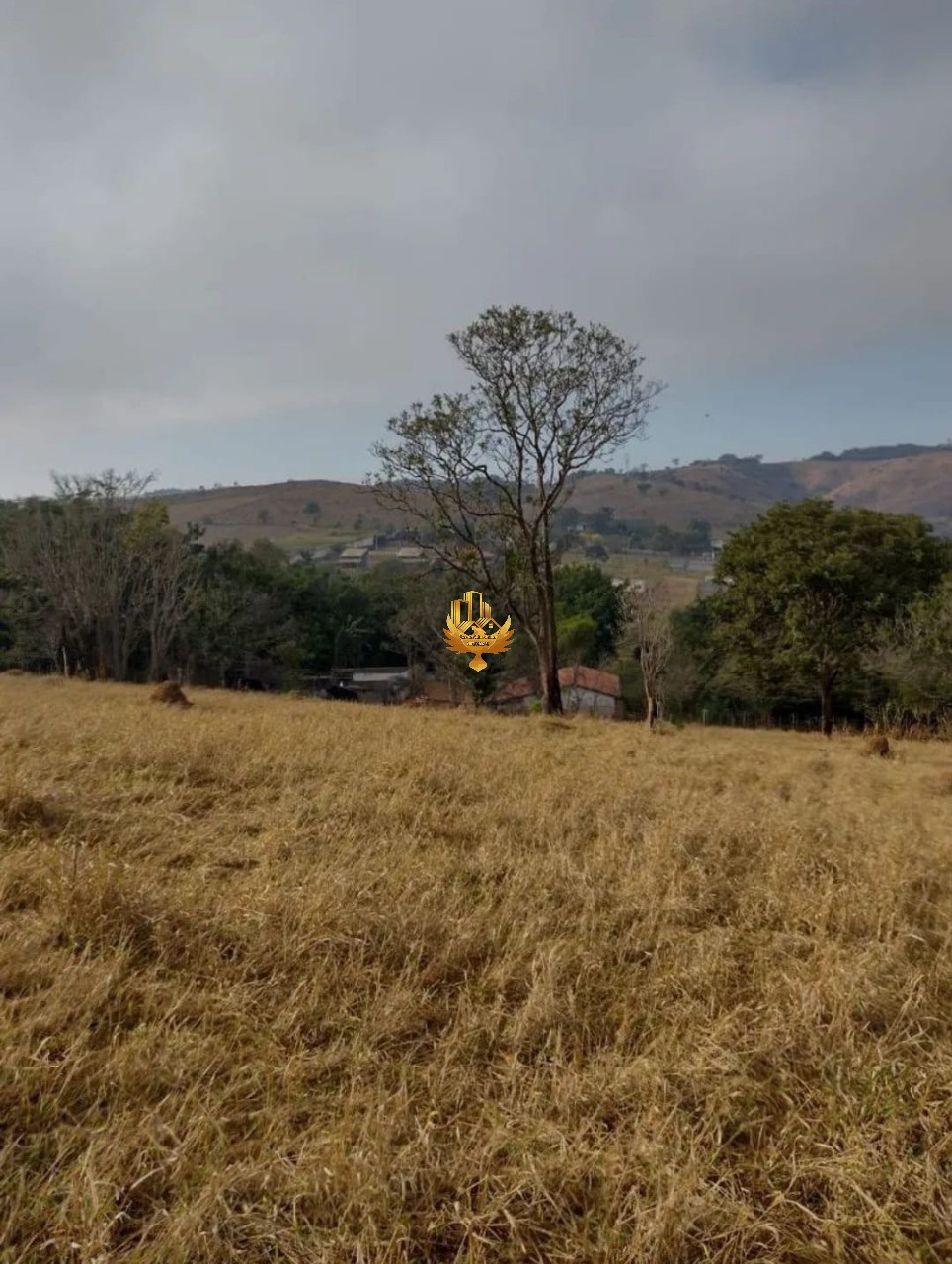 Sítio, 3 quartos - Foto 5